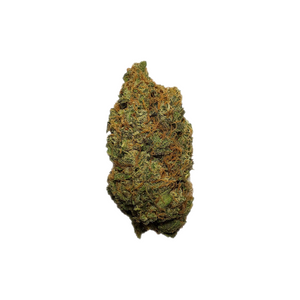 Cruise 232 - (AAAA) - Hybrid