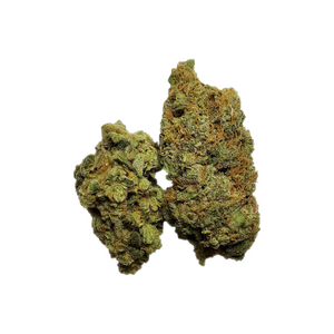 Cruise 232 - (AAAA) - Hybrid