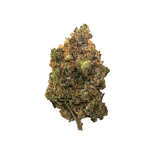 Whoopty! - (AAAA) - Hybrid