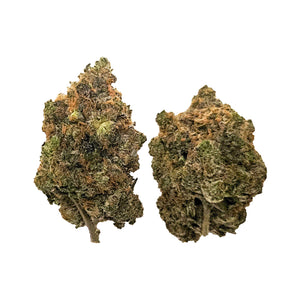 Whoopty! - (AAAA) - Hybrid