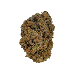 King Kong Glue - (AAAA) - Hybrid