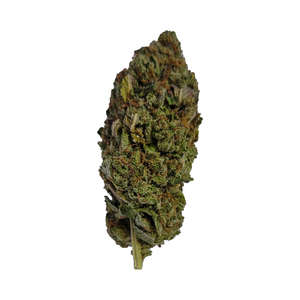 Wonder Skunk - (AAAA) - Indica