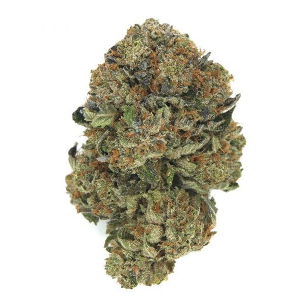 Chapos Churro- (AAAA) - Indica
