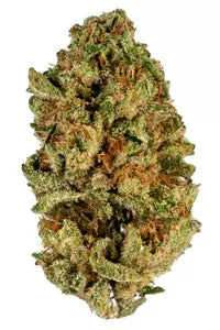 Candy Rain - (AAAA) - Hybrid