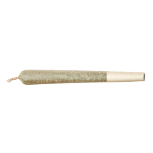 Shatter Infused Joint (1.5G) - Indica - Blueberry Pie